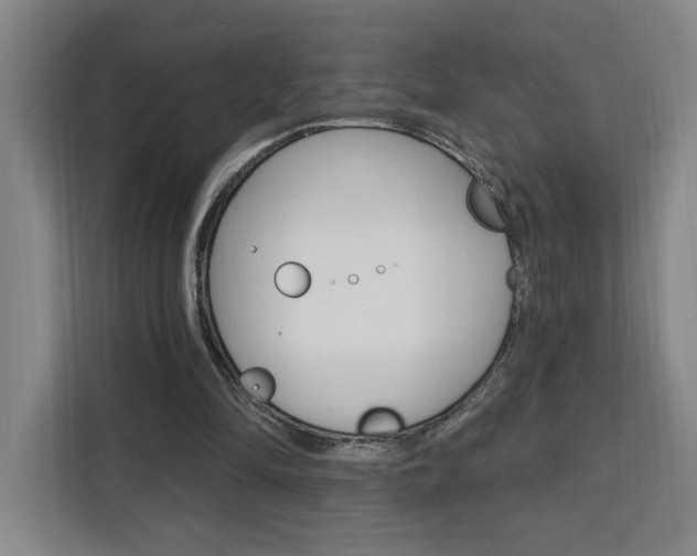 X0000111460294200907131223