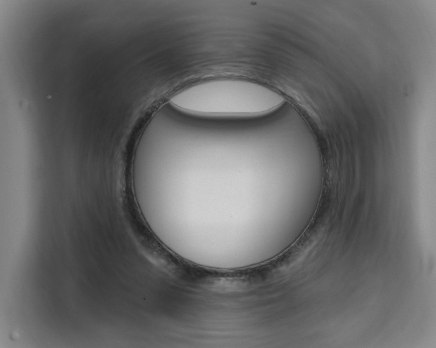 X0000111460303200907131223