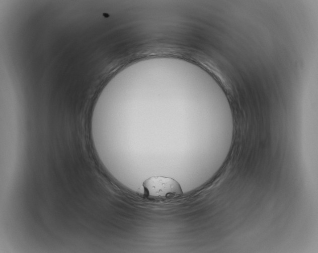 X0000111460309200907131223