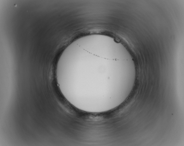 X0000111460311200907131223