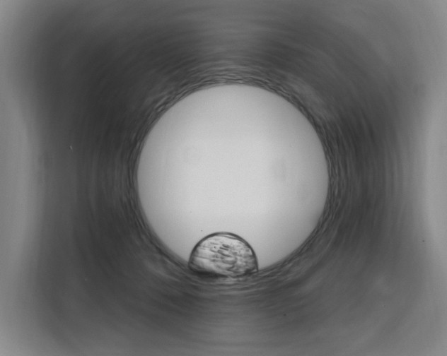 X0000111460320200907131223