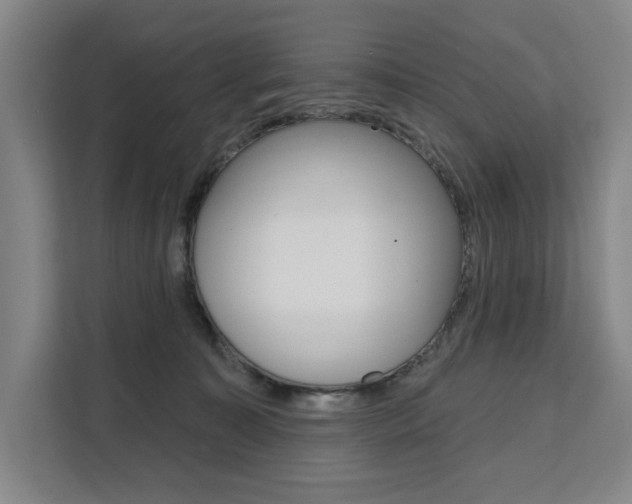 X0000111460323200907131223