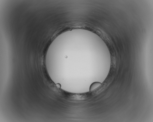X0000111460326200907131223