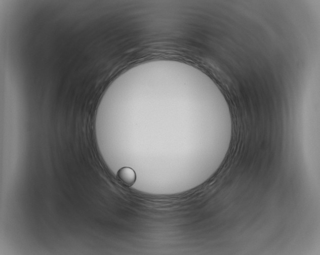 X0000111460327200907131223