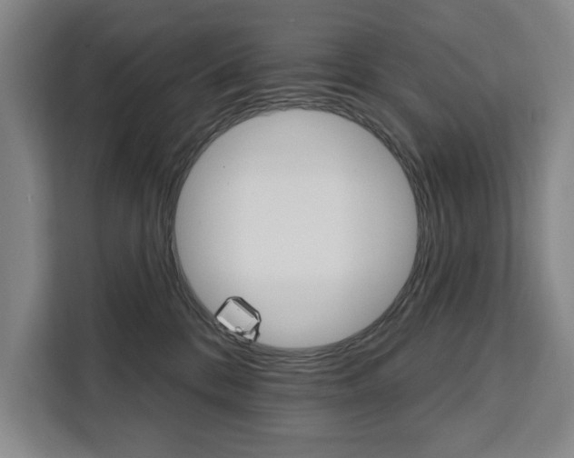 X0000111460328200907131223