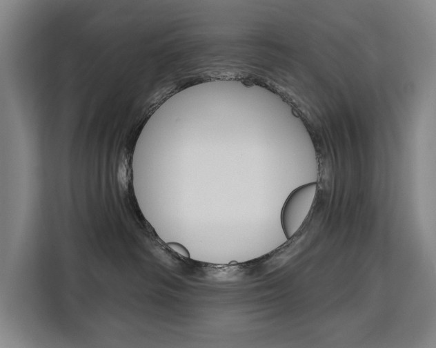 X0000111460334200907131223