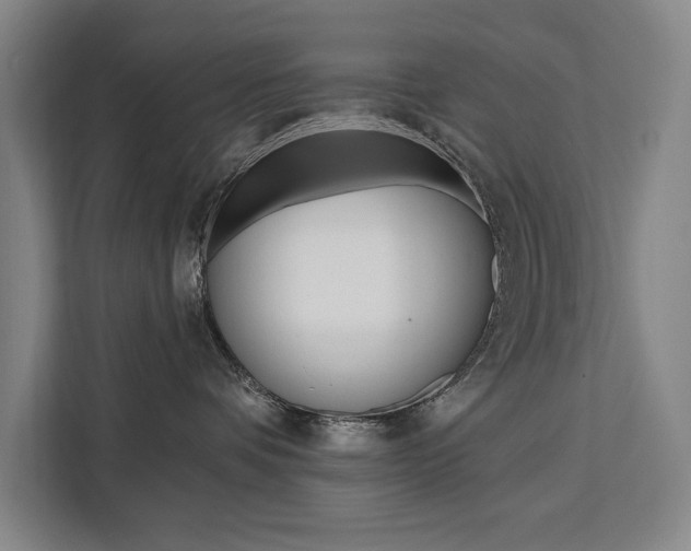 X0000111460336200907131223