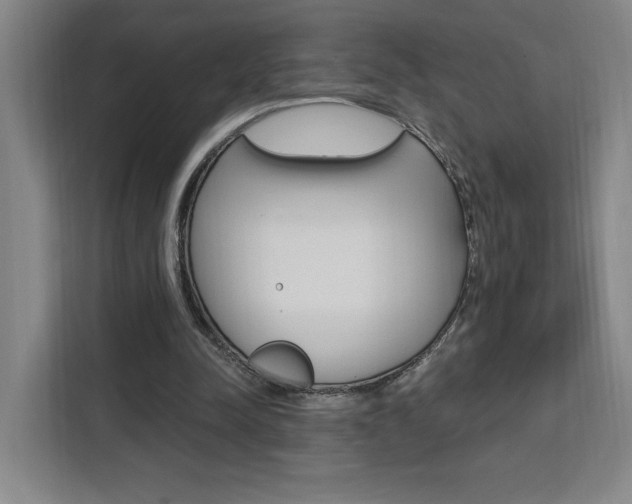 X0000111460342200907131222
