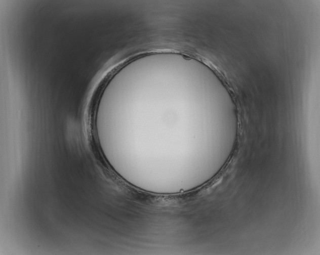 X0000111460343200907131222