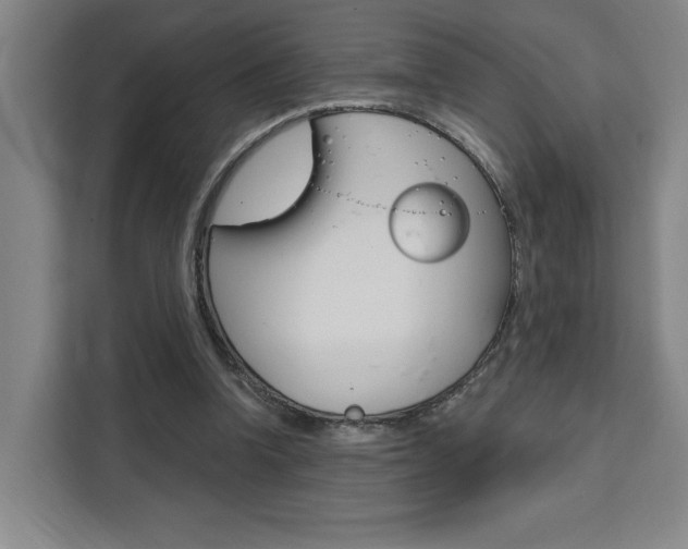 X0000111460346200907131222