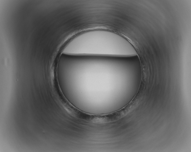 X0000111460350200907131222