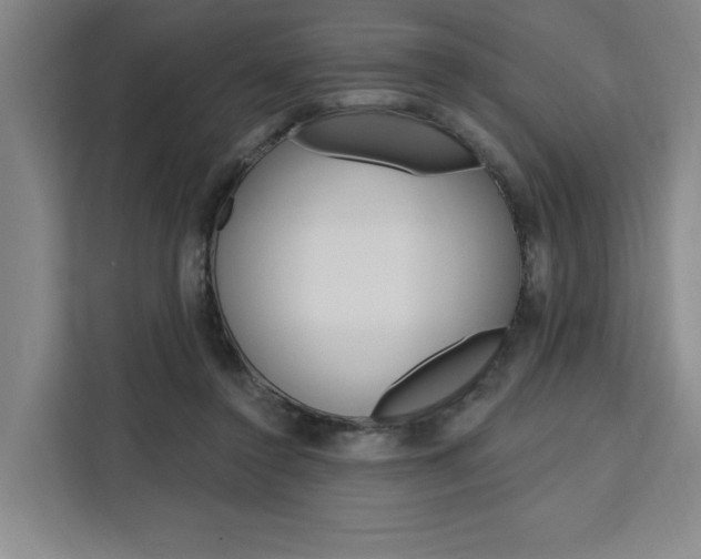 X0000111460356200907131223