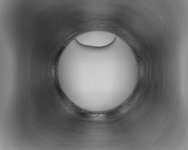 X0000111460363200907131223