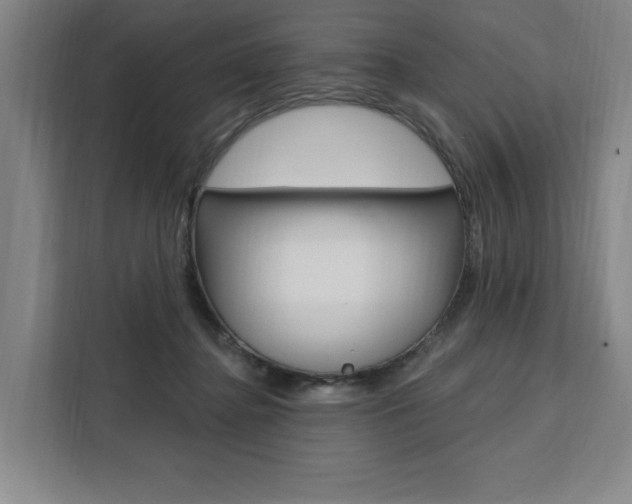 X0000111460364200907131223
