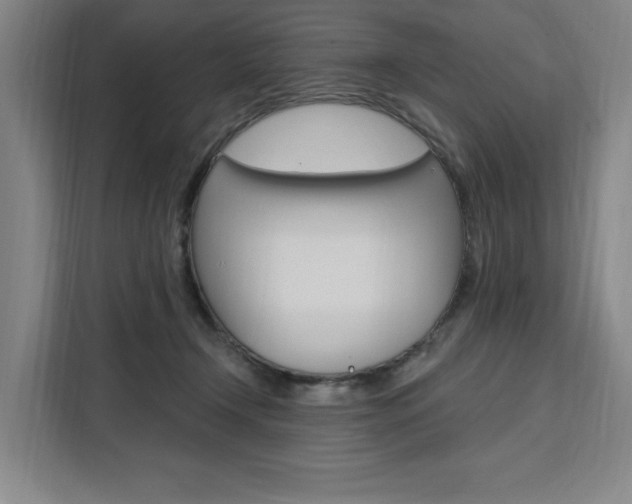 X0000111460366200907131223