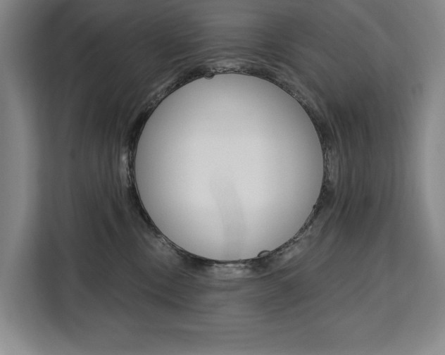 X0000111460378200907131223