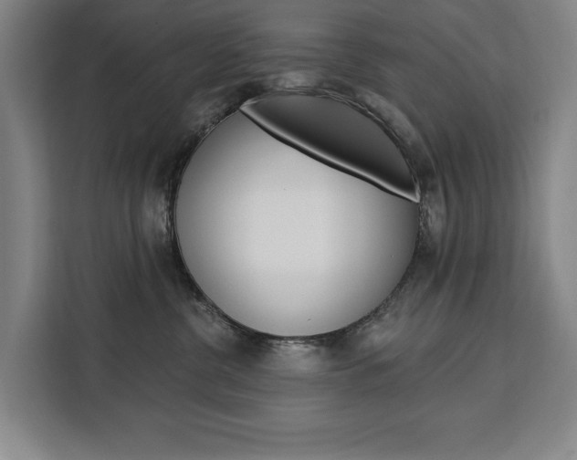 X0000111460380200907131223