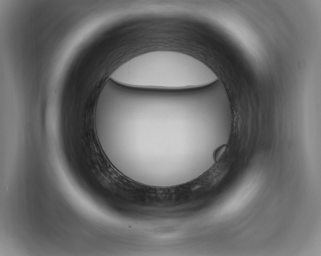 X0000111460383200907131223