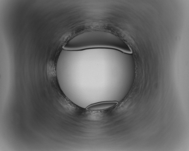 X0000111460384200907131223