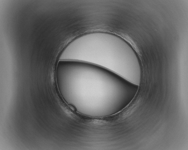 X0000111460393200907131222