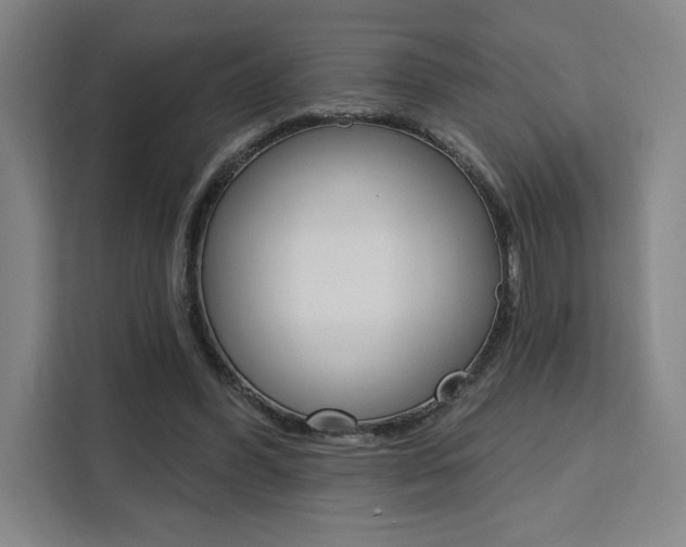 X0000111460396200907131222
