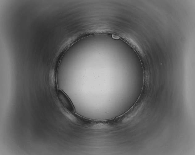 X0000111460397200907131222