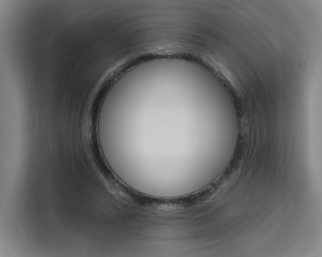 X0000111460400200907131222