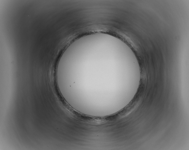 X0000111460402200907131222