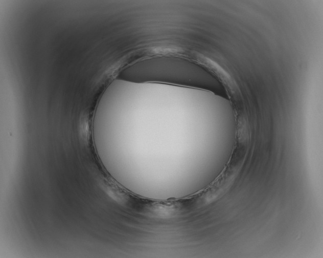 X0000111460405200907131222
