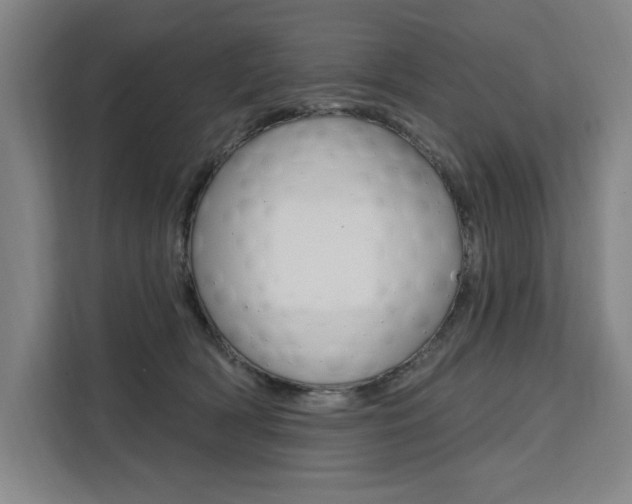 X0000111460418200907131222