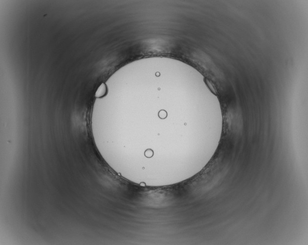 X0000111460423200907131222