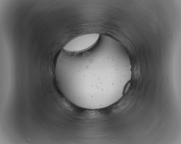 X0000111460424200907131222