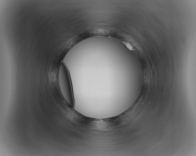 X0000111460425200907131222