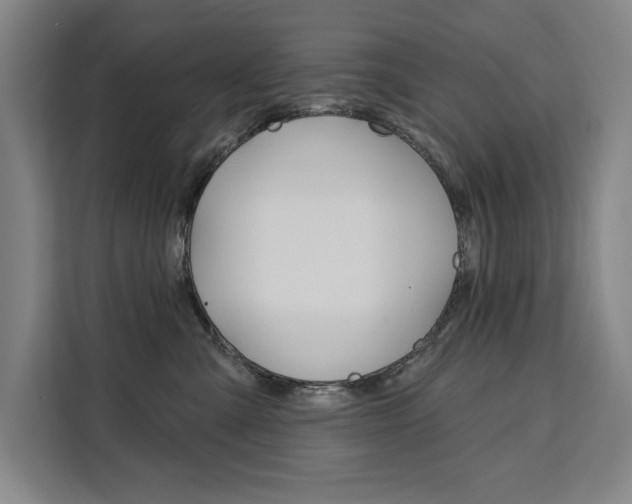 X0000111460427200907131222