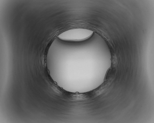 X0000111460428200907131222