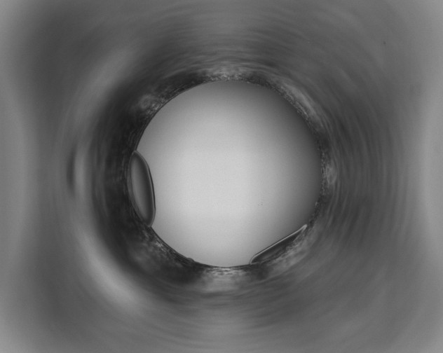 X0000111460429200907131222