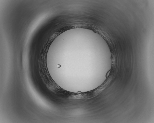 X0000111460430200907131222