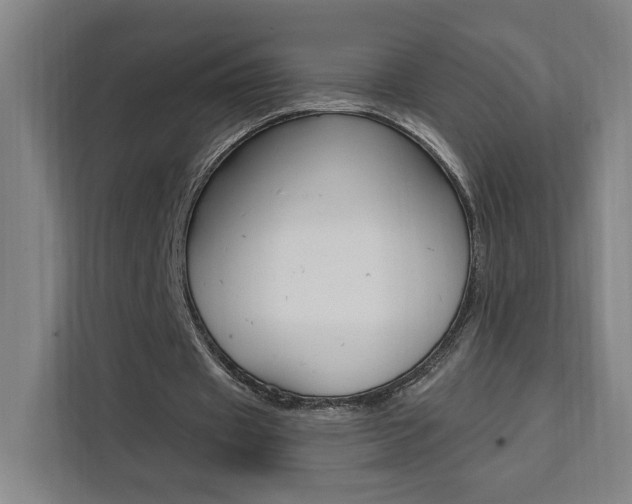 X0000111460433200907131221