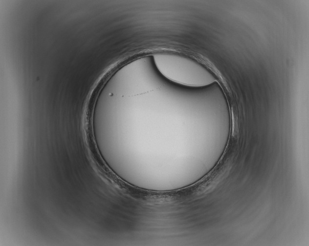 X0000111460435200907131221