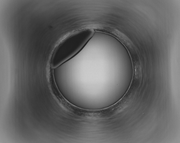 X0000111460436200907131221