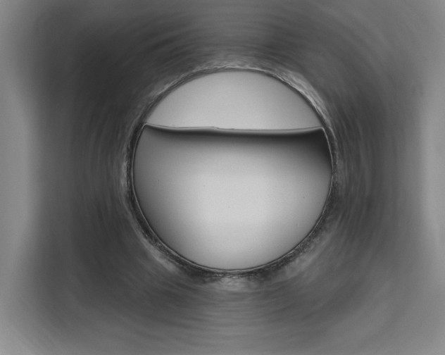 X0000111460441200907131221