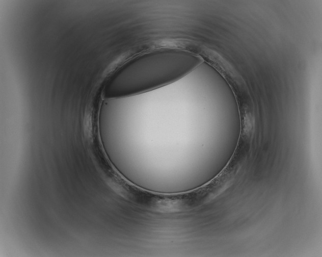 X0000111460444200907131221