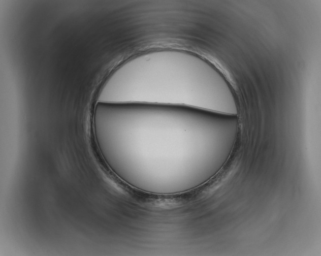 X0000111460445200907131221