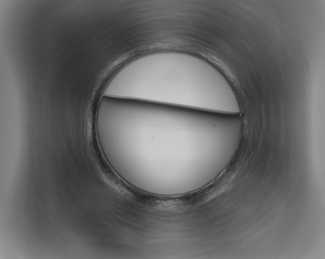 X0000111460446200907131221