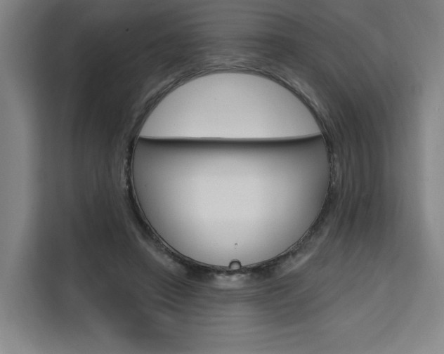 X0000111460450200907131221
