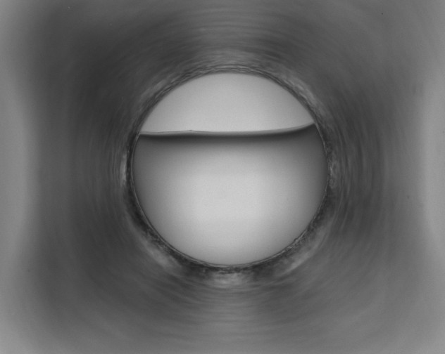X0000111460454200907131221