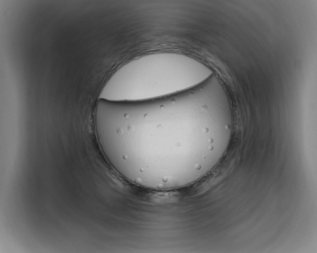 X0000111460465200907131221