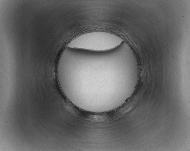 X0000111460466200907131221