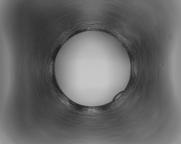 X0000111460475200907131222