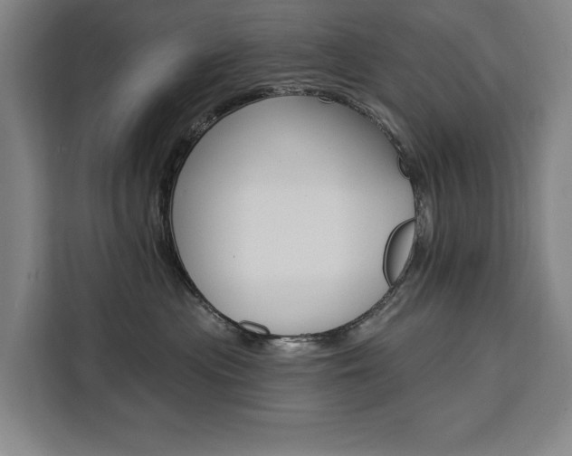 X0000111460477200907131222
